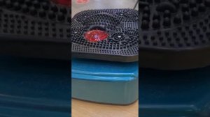 Ци Сюэ массаж для всей семьи от компании Тяньши!