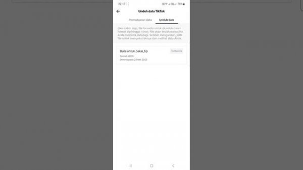 Download DATA TikTok JSON dan Lihat Wrapped Vantezzen IO, Cara-nya di 2023