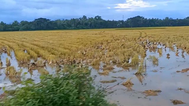 The Motorcycle Diaries - 01 Apertura soundtrack | chiru vlogs #19 | Weekend tours | #CheGuevara #ch смотреть онлайн