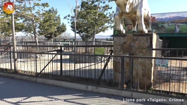 Животные парка Тайган. Animals in Taigan. смотреть онлайн