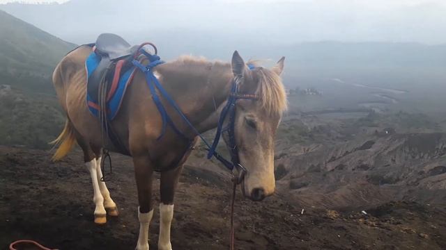 Bromo Tengger Semeru National Park 2019 смотреть онлайн
