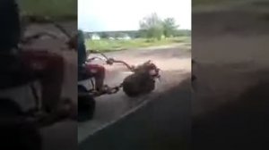 П'яный на мотоблоке ржач прикол