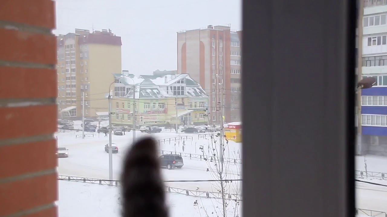 Просто красивое видео о зиме❄️ смотреть онлайн