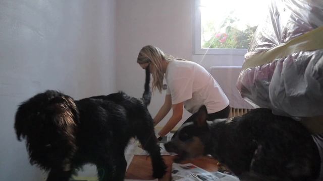 Novi DIY projekti na porodniški смотреть онлайн