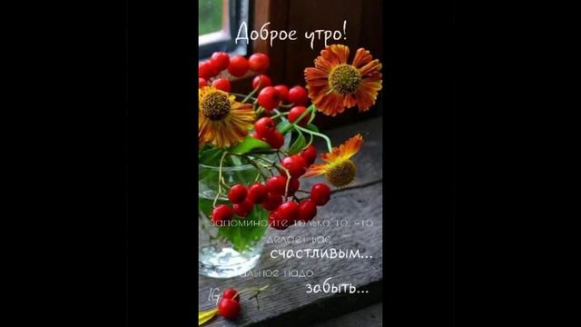 Доброе летнее утро пусть принесёт удачу смотреть онлайн