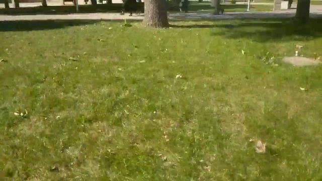 иксскурсия в экологический центр)))))))) смотреть онлайн