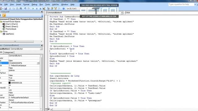 Input Data Option Button - VBA Excel смотреть онлайн