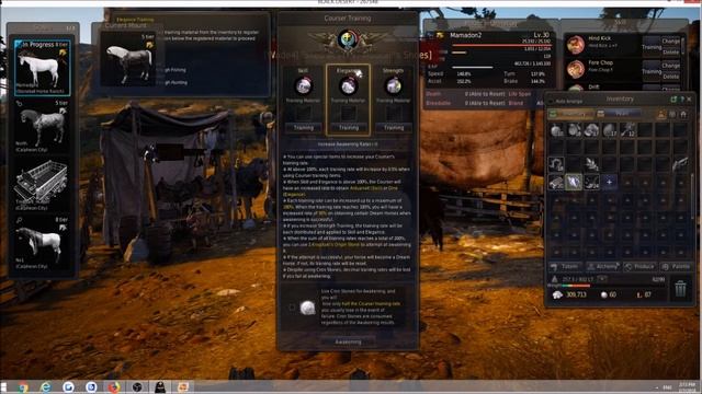 Tier8 Courser Training, Dream Horse - BDO смотреть онлайн