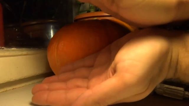 Тыква на Хэллоуин смотреть онлайн