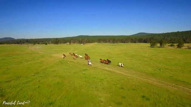 ВОССТАНОВЛЕНИЕ НЕРВНОЙ СИСТЕМЫ ? Нежная музыка, успокаивает нервную систему и радует душу