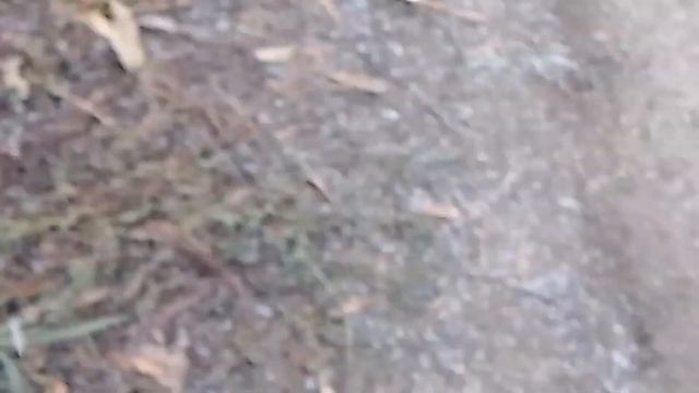 ПОШЕЛ СНЕГ В ОКТЕБРЕ. смотреть онлайн