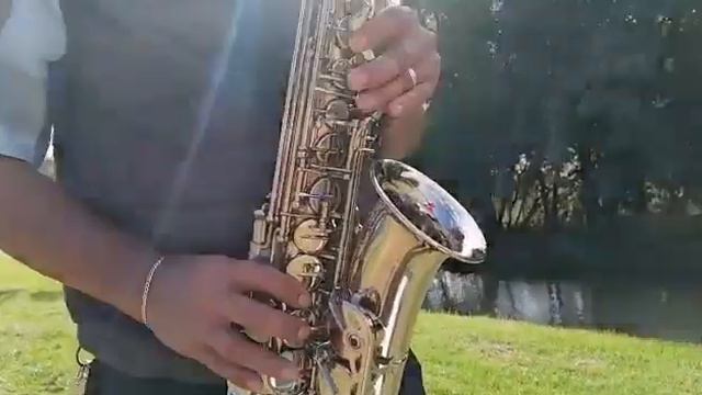 Eran cien💯 ovejas 🐑Javier Maza (saxofon) смотреть онлайн