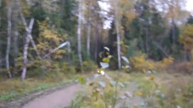 Мои первые покатухи на квадроцикле Polaris 800 3 смотреть онлайн