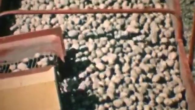 Комбайн картофельный Анна Z-644 Часть 1 смотреть онлайн