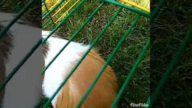 Всех с 1 днем лета💋 смотреть онлайн