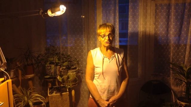 ✅ Фито-лампы для растений и рассады Рефлакс ДНаТ, ДНАЗ, ДРИЗ, ДРИКЗ смотреть онлайн