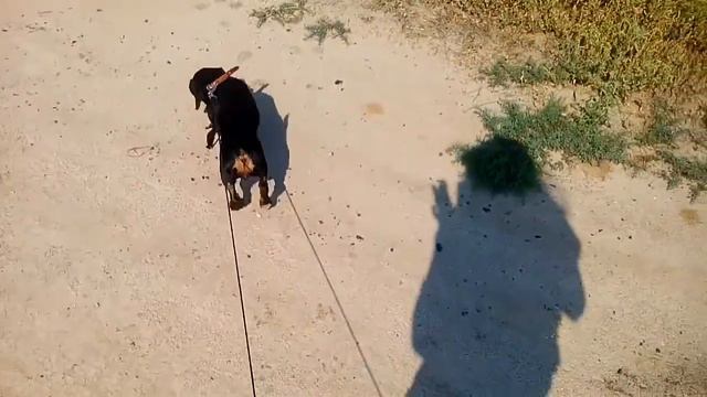 На даче купаемся смотреть онлайн