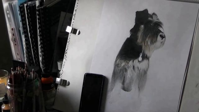 Photo?? No It's a drawing #petportrait #hyperrealism #dogdrawingeasy смотреть онлайн