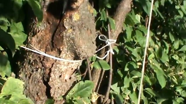 Начало работ по установке забора