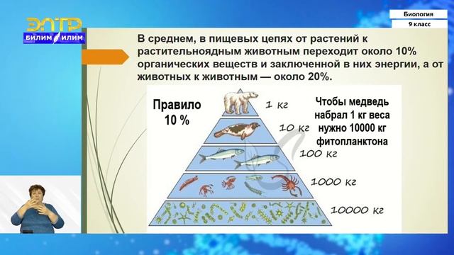 9-класс | Биология | Биогеоценоз и его основные компоненты. Круговорот веществ смотреть онлайн