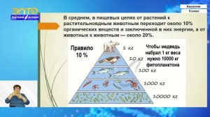 9-класс | Биология | Биогеоценоз и его основные компоненты. Круговорот веществ
