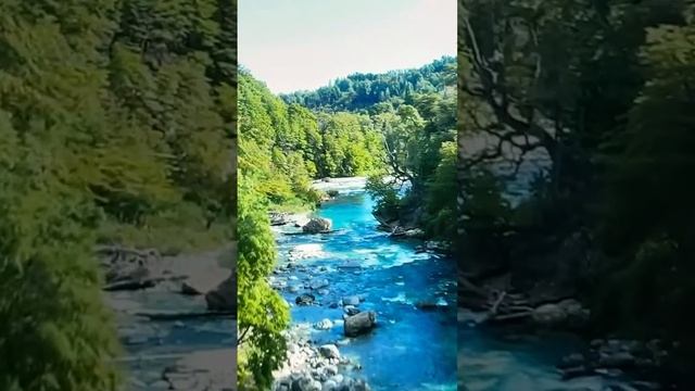 Сущность всего❓РЕМА ЙХВХ-21.11.23 смотреть онлайн