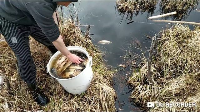 Зарыбление дикого лесного (торфяного) водоёма карпом и линем / весна 2019 смотреть онлайн