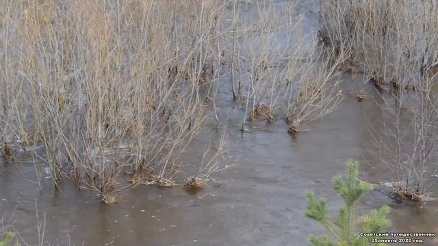 Река Баранча, Нижний Тагил, 25.04.20