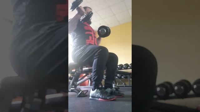 Подъем на бицепс сидя с гантелями 3*10 – по 15кг смотреть онлайн