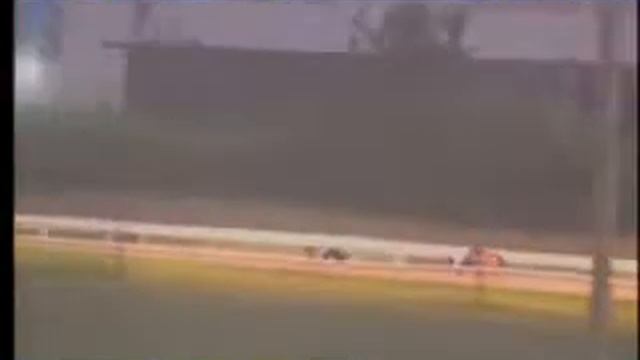IGB - Go Greyhound Racing N1/A7 31/08/2018 Race 4 - Youghal смотреть онлайн