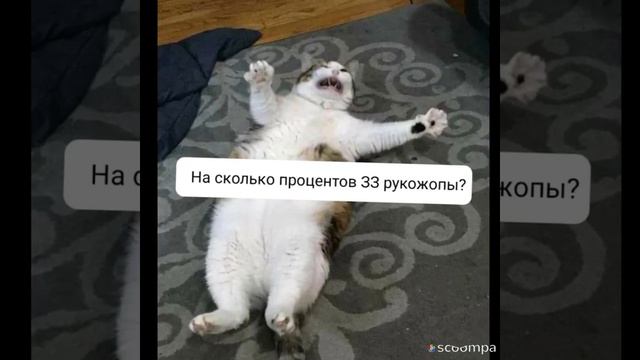 На сколько процентов знаки зодиака рукожопы? #знакизодиака смотреть онлайн