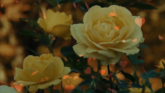 "Две розы". Елена Бажанова. смотреть онлайн