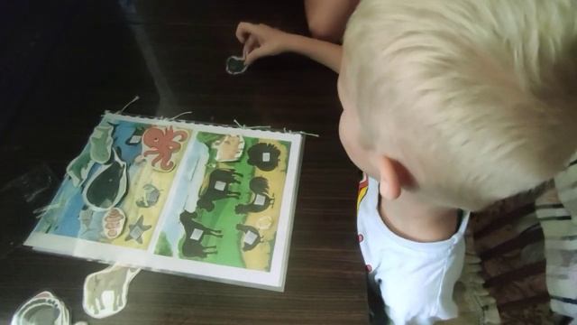 #учим животных#хочу все знать#морские жители#домашние животные#истории#рыбалка смотреть онлайн