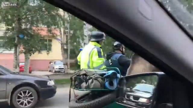 приколя: МЕДВЕДЬ В МОТОЦИКЛЕ, ЕДЕТ ПО АРХАНГЕЛЬСКУ. смотреть онлайн