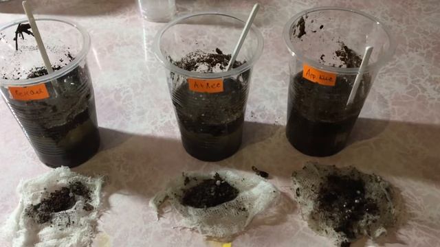 Определяем PH грунта и воды. смотреть онлайн