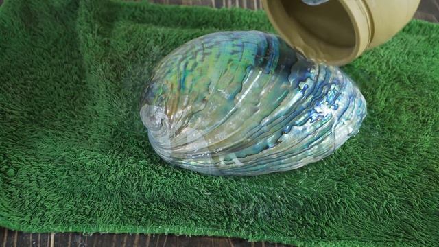 Polishing a big abalone shell by hand - Relaxing Video смотреть онлайн