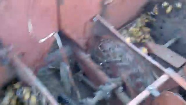 Посадка картоплі смотреть онлайн