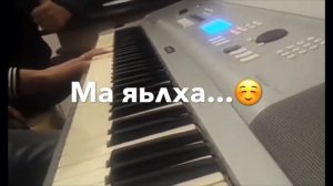 Шамиль Дидигов