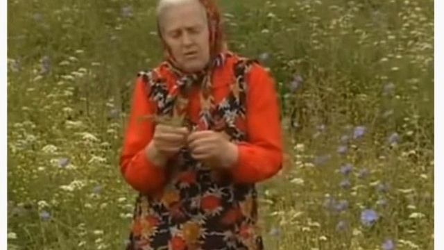 Советы травницы Зайцевой Е Ф смотреть онлайн