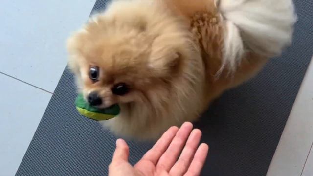 Уникальный курс тренировок по Басиной методике! смотреть онлайн