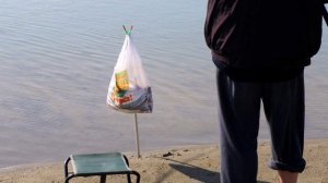 Кубань сегодня
