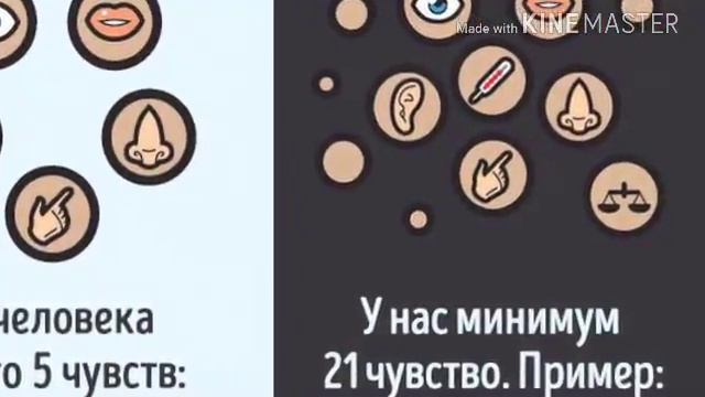 Топ 5 мифов смотреть онлайн