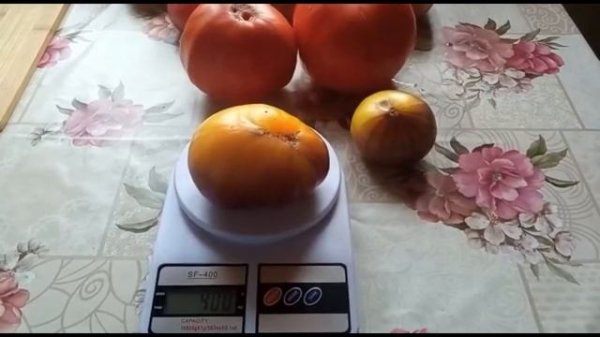 Томат Сарт Ролуаз