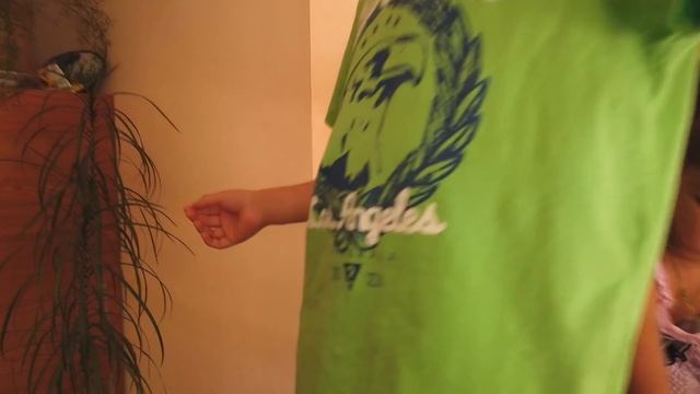 День Рождения Папы, Тестя и Дедушки!!! Богатый Дедушка и Внуки!!! смотреть онлайн