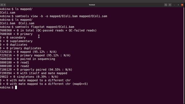 Genome Mapping and Visualization with Bowtie2 & IGV смотреть онлайн