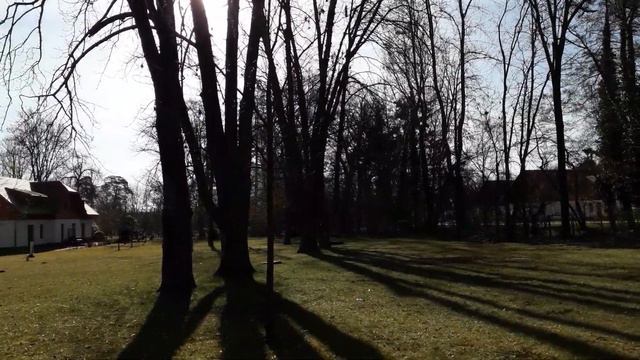 Пение птиц в весеннем парке смотреть онлайн