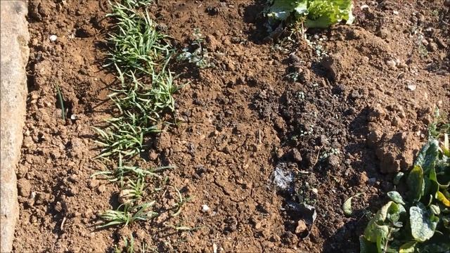 САДОВЫЕ РАБОТЫ В АПРЕЛЕ / ЧТО ДЕЛАТЬ В САДУ В АПРЕЛЕ / Органическое земледелие на юге смотреть онлайн