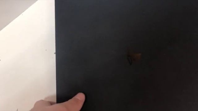 Видео №593292 смотреть онлайн