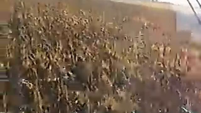 Жатка НАШ уборка без потерь смотреть онлайн