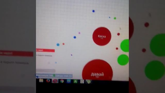 N1) агарио чашка петри